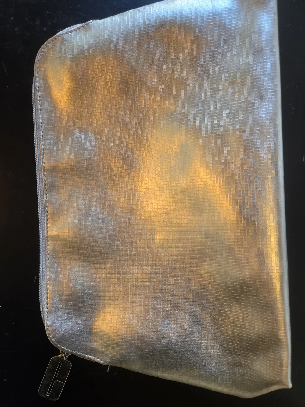 Clinique Green Lined Cosmetic Bag - Picture 7 of 8